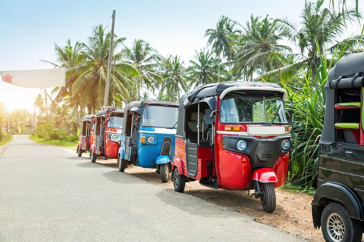 Full Day Tuk Tuk Rental in Sri Lanka - Photo 1 of 3